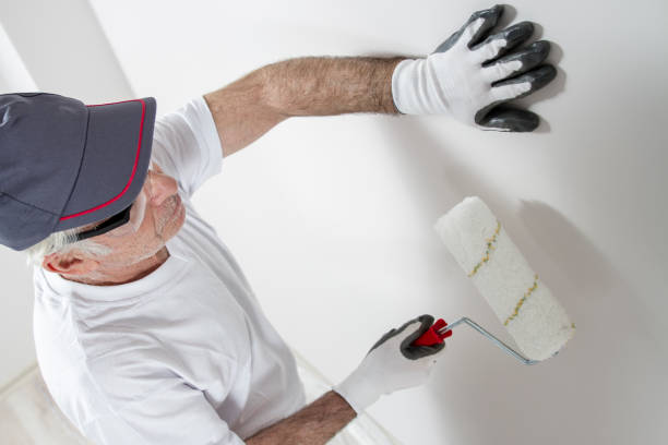  Kingston, IL Painting & Drywall Services Pros